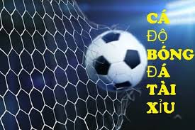     Cách tính tiền cược đơn giản nhất