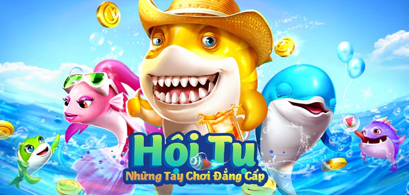 Sơ bộ vài nét cần biết sân chơi Bancah5
